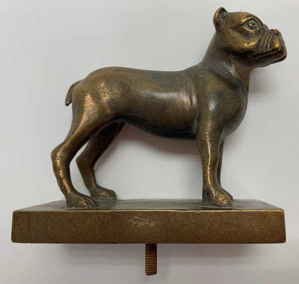 Edwardian Bulldog Mascot/Hood Ornament M-36